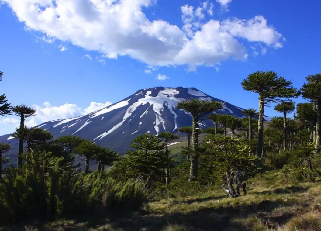 Qué hacer en Malalcahuello